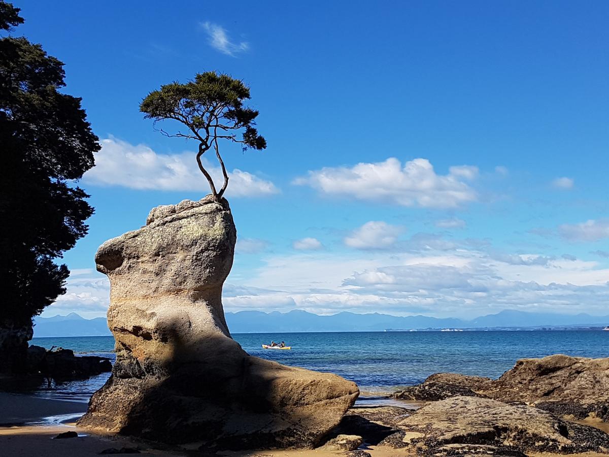 Abel Tasman Sands Bnb Riwaka ภายนอก รูปภาพ